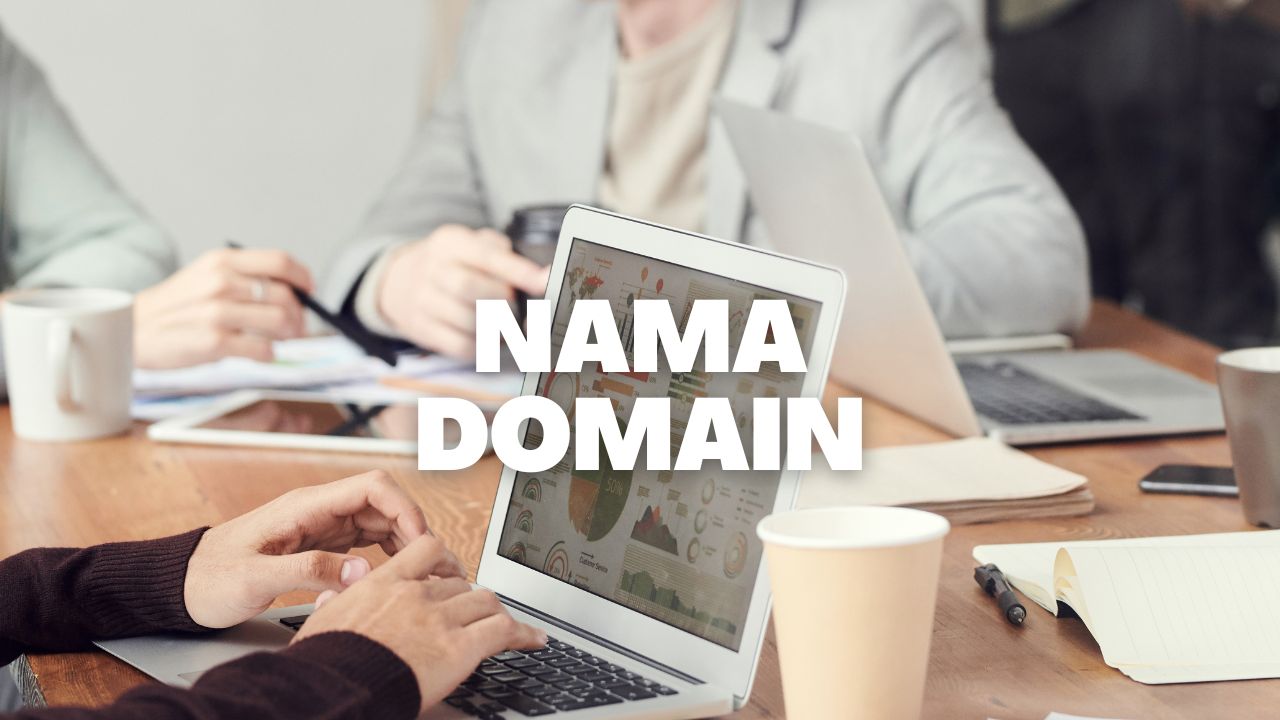 PENTING! Ternyata Punya 1 Domain Saja Tidak Cukup