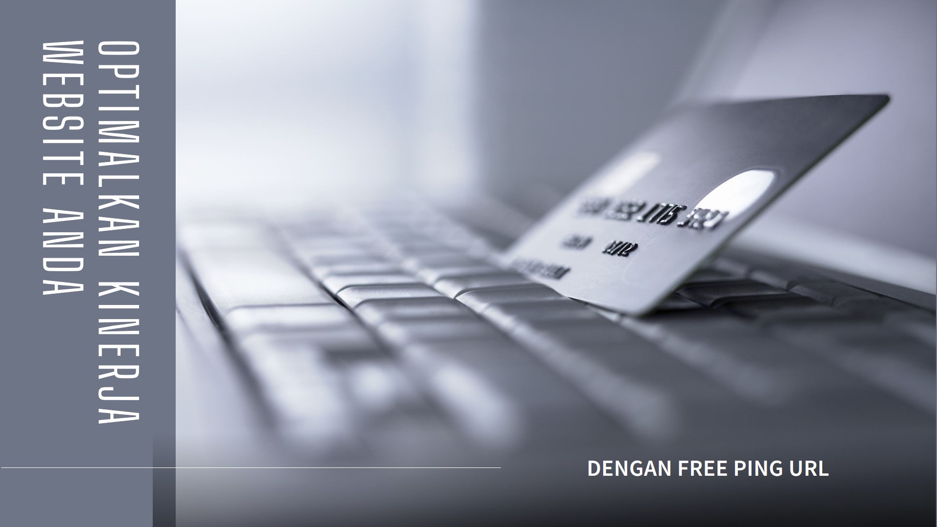 Mengapa Website Harus di Free Ping Url